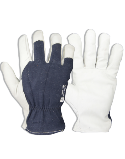  Sewn gloves of fine goatskin in palm and cotton knit on back Leather- combined gloves