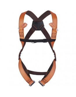 safety harness with 2 attachment points